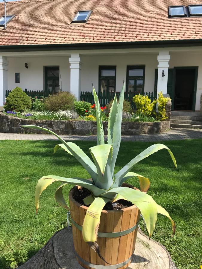 Bekolce Falubiro Vendeghaza מראה חיצוני תמונה